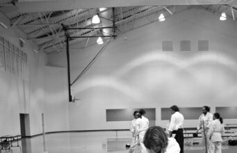 Aikido: Umění harmonie a sebeobran