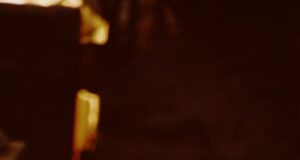 Bojová umění: Historie, vývoj a moderní trendy