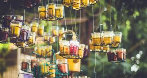 Umění sebeobrany: Jak se stát v boji neporazitelným