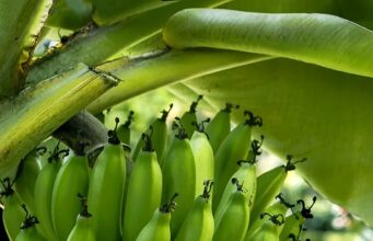 Top recepty pro dechberoucí dezerty a sladké dobroty