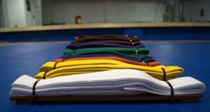 Psychologické a fyzické výhody tréninku bojových umění