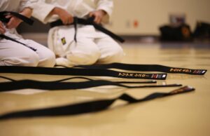 Cesta k mistrovství: Historie a techniky karate