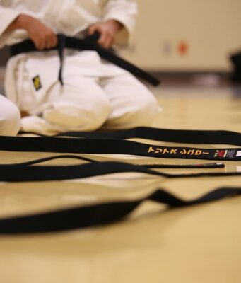 Cesta k mistrovství: Historie a techniky karate