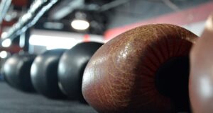 Vývoj bojových umění: od starověku po současnost