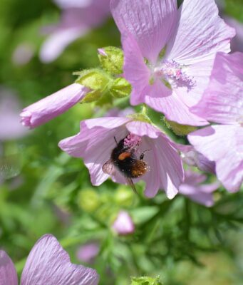 Bojová umění jako forma sebeobrany: Jak získat důvěru a sílu