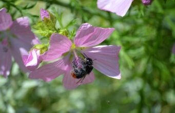 Základy bojových umění: Jak se bránit v nebezpečné situaci