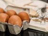 10 jednoduchých receptů na rychlá a chutná jídla