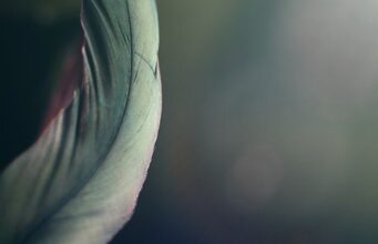 Krása zevnitř ven: Jak správná strava může ovlivnit vaši pokožku a náladu