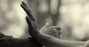 Jak najít správnou bojovou školu pro vaše potřeby