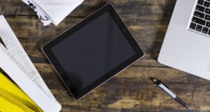 Cesty k mistrovství: Trénink a disciplína v bojových uměních