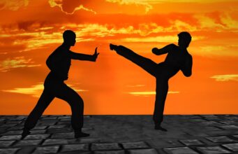 Bojová umění: historie, filozofie a techniky