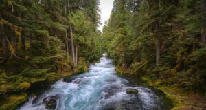 Tajemství krásy: jak dosáhnout žádaného vzhledu