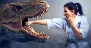 Vývoj karate a jeho vliv na moderní bojové umění