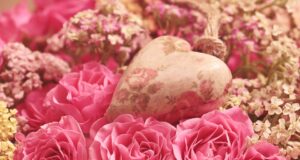 Vitamíny pro pokožku: Jak pečovat o svou krásu zevnitř