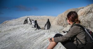 Skvělé destinace pro milovníky dobrodružství: Kam vyrazit na svou další cestu