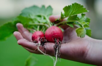 Trendy recepty: Co vaříme letos?