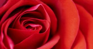 Proč je důležité pečovat o své tělo: Krása začíná uvnitř