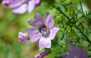 Bojová umění jako cesta k sebepoznání: Jak zlepšit fyzickou a mentální sílu