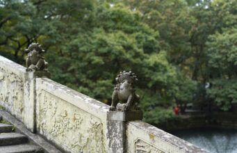 Svět bojových umění: Od tradičních forem po moderní směry