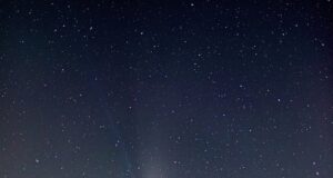 10 tipů pro dosažení maximální výkonnosti ve sportu