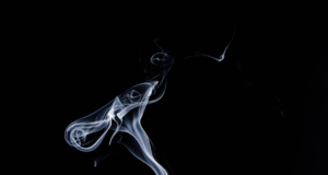 Cesta silného ducha: Tajemství bojových umění