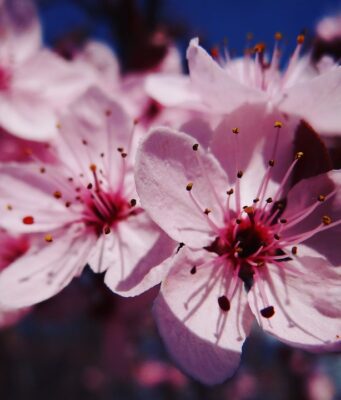 Jak překonat bloky a překážky při hledání kreativních řešení