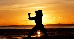 Role trpělivosti a disciplíny ve výuce bojových umění