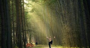 – Význam bojových umění ve světě sebeobrany