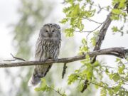 Oslovující krása: Jak být sebevědomá a krásná zároveň