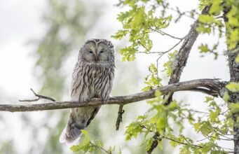 Oslovující krása: Jak být sebevědomá a krásná zároveň