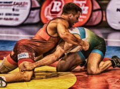 Cesta k dokonalosti: Tři klíčové principy bojových umění